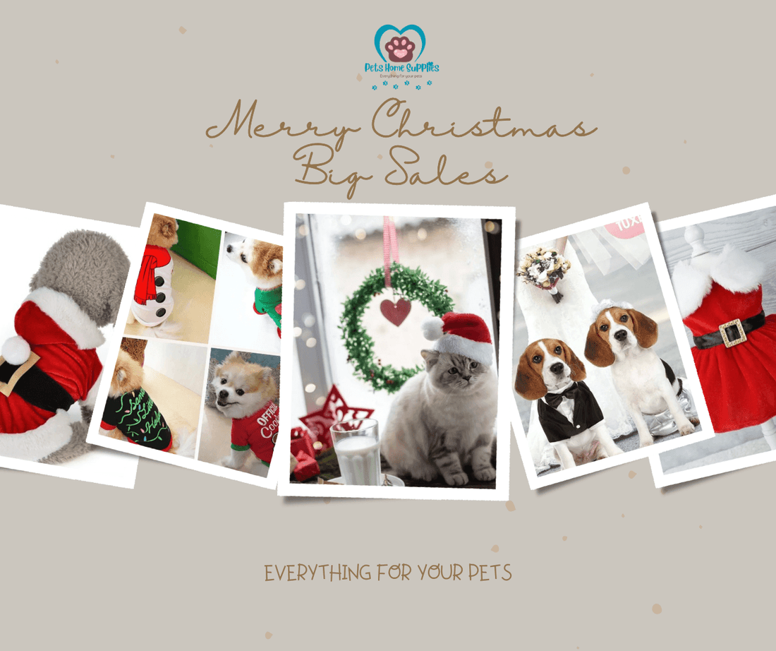 101 Playbook to Caring your Furry Family Member