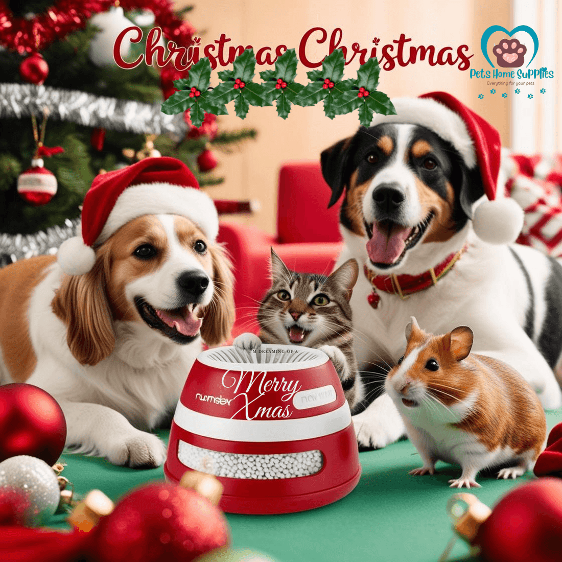 Caring for your Furry Babies in winter!