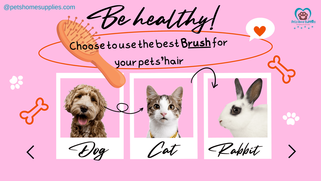 Why brush is important to your pet's hair?