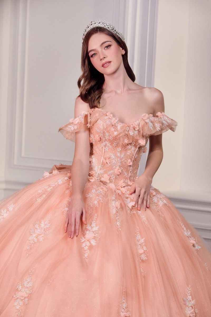 Off The Shoulder Delicate Floral Applique Embellished Ceremonial Ball Gown w/ Corset Bodice CD15731