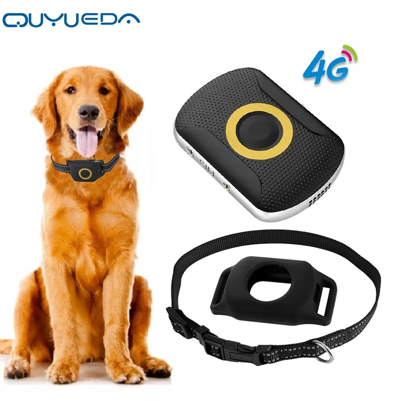 personal gps tracker, gps tracker for kids, gps tracker for elders, pet gps collar, waterproof gps tracker, child safety gps, dog gps tracker, gps tracker with sos, gps tracker with medication reminder, gps tracking device for pets