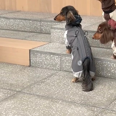 防寒臘腸犬寵物衣服秋冬季外套