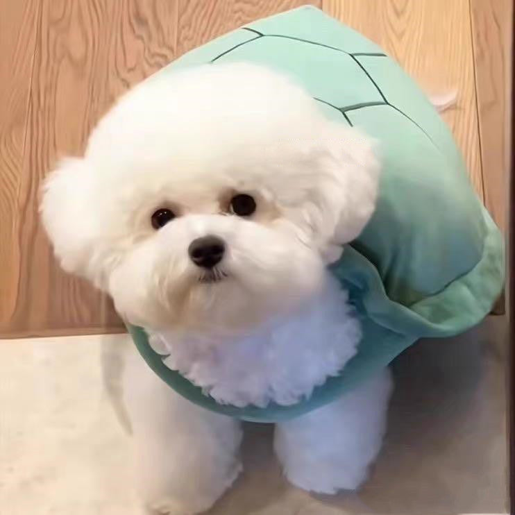 龜殼寵物背心趣味服裝