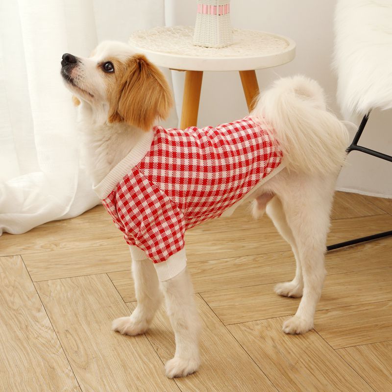 High Collar Windproof Fashion Sweater Dog Clothes