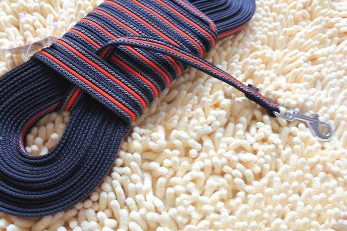 プロの犬の訓練チェーン