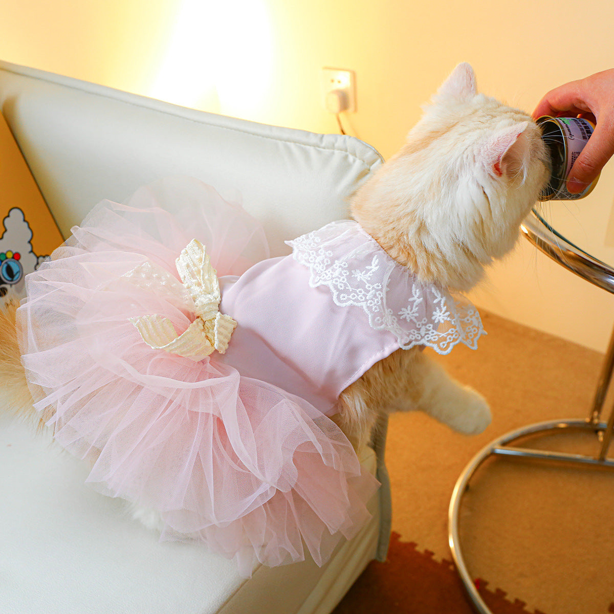 ペット服 猫服 レース猫