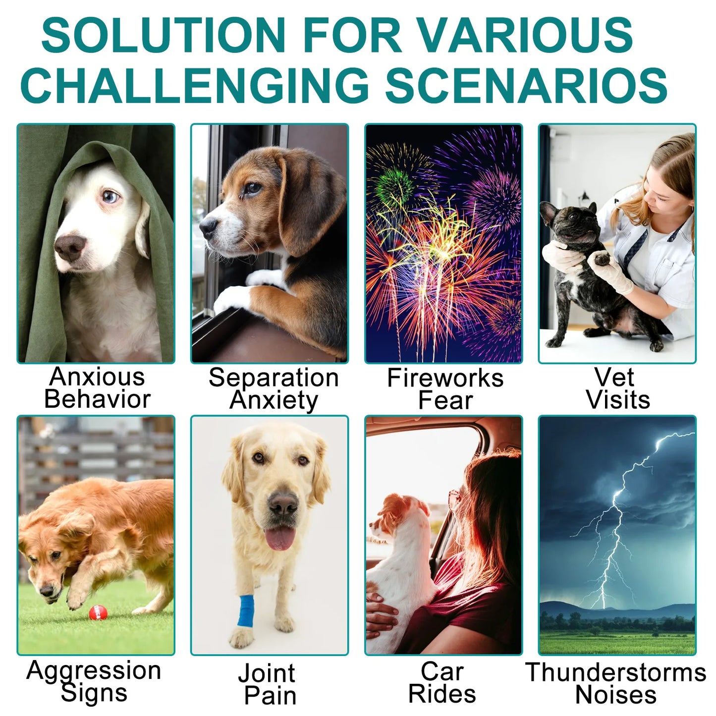 狗狗鎮靜片促進平靜,心臟健康,保護神經系統,緩解壓力、焦慮、疼痛和炎症