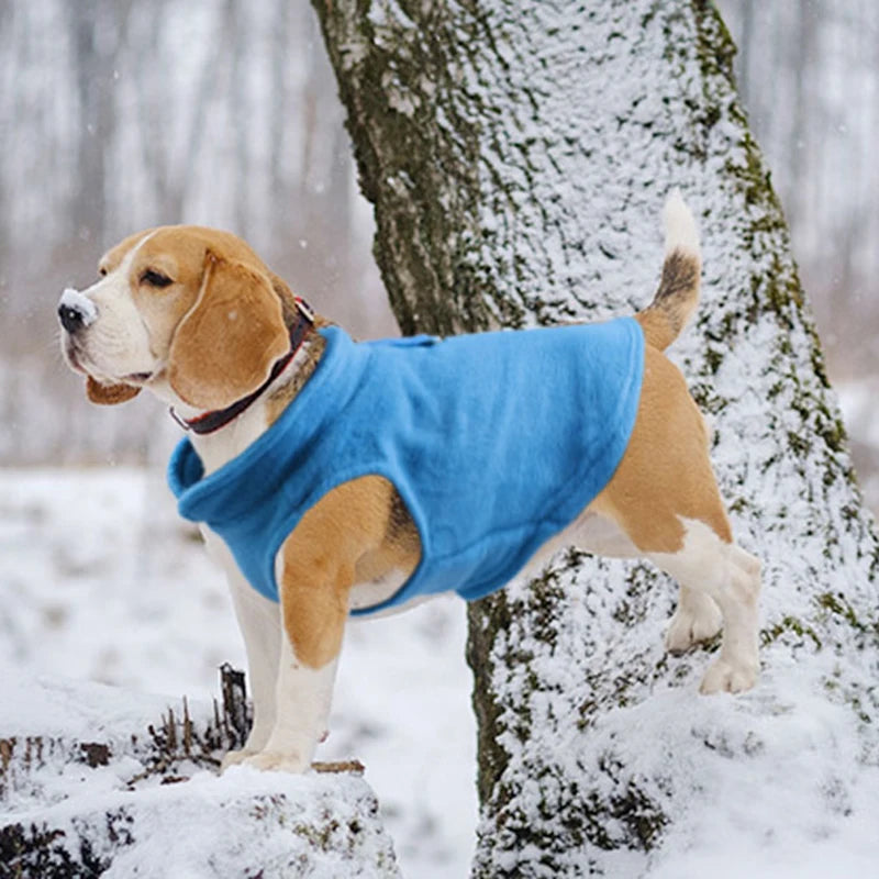 冬季羊毛寵物狗衣服幼犬服裝法國鬥牛犬外套哈巴狗服裝夾克小型犬吉娃娃背心約克夏幼貓