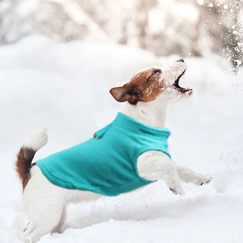 冬季羊毛寵物狗衣服幼犬服裝法國鬥牛犬外套哈巴狗服裝夾克小型犬吉娃娃背心約克夏幼貓
