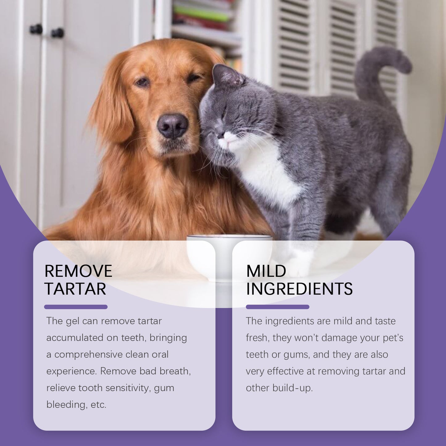 2件3毫升寵物牙齒清潔凝膠清新口氣牙齒美白牙刷去除牙垢口腔護理牙齒修復狗牙刷