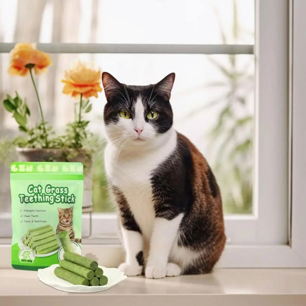 天然貓草潔齒棒含貓薄荷寵物玩具,用於牙齒健康和磨牙清潔