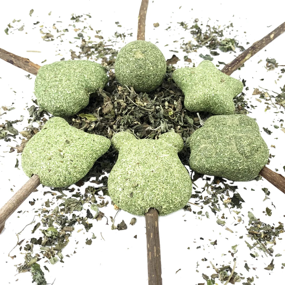 可愛造型新鮮貓薄荷玩具貓薄荷天然安全可食用可愛造型寵物薄荷棒棒糖貓薄荷球貓玩具清潔牙齒