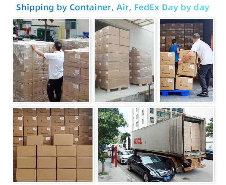 Veterinary Diagnostic Dna Collection test Swab Tube Kit Birds Cat Pet Canine Dna test Microbiology Test Kit