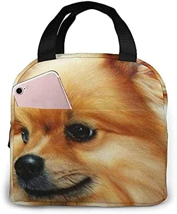 博美犬保溫午餐袋,適用於可重複使用的防水冷藏袋午餐盒,適合青少年女孩上學旅行野餐