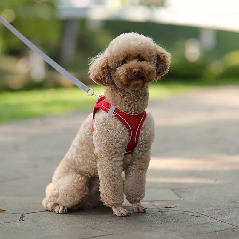 小型犬用 犬用ハーネス リーシュセット 調節可能 子犬 猫用ハーネス ベスト フレンチブルドッグ チワワ パグ アウトドア ウォーキングリード リーシュ