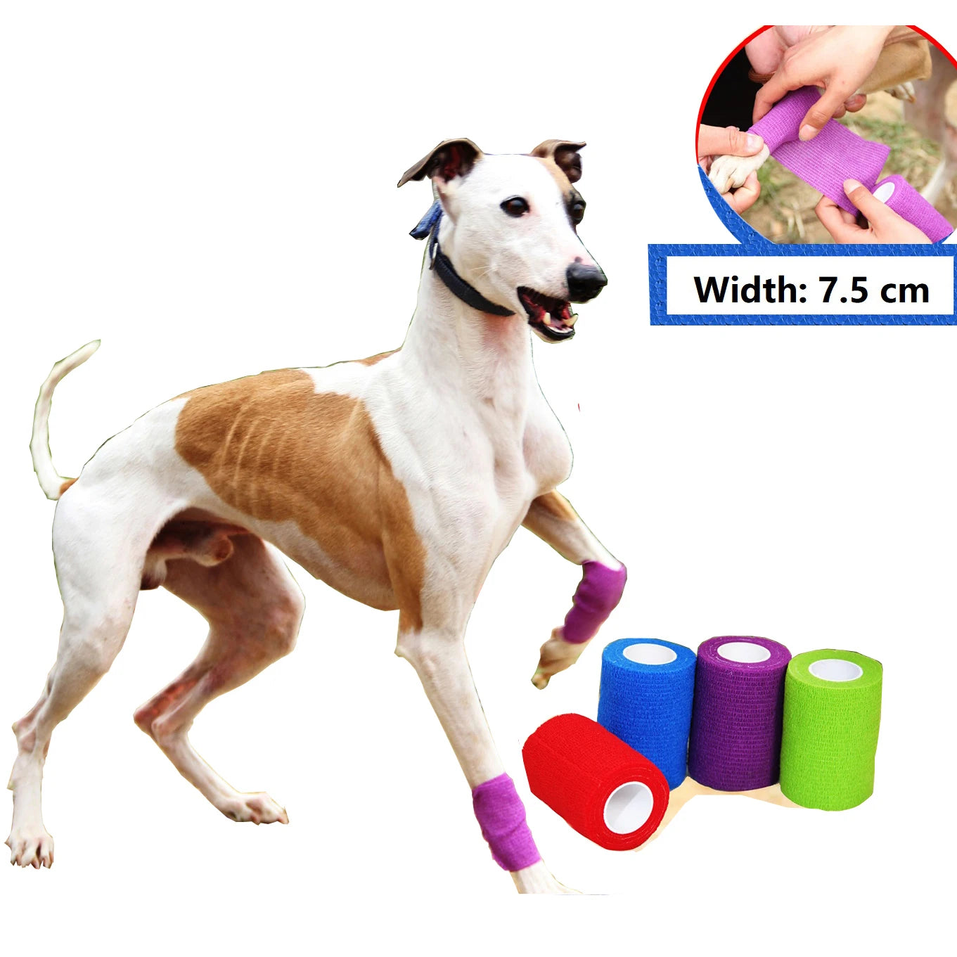 1 件裝狗狗自黏固定繃帶賽狗狗關節膝蓋急救包寵物膠帶寬 7.5 公分寵物健康包紮適用於靈緹犬