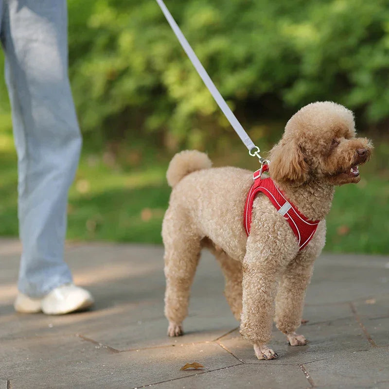 小型犬用 犬用ハーネス リーシュセット 調節可能 子犬 猫用ハーネス ベスト フレンチブルドッグ チワワ パグ アウトドア ウォーキングリード リーシュ