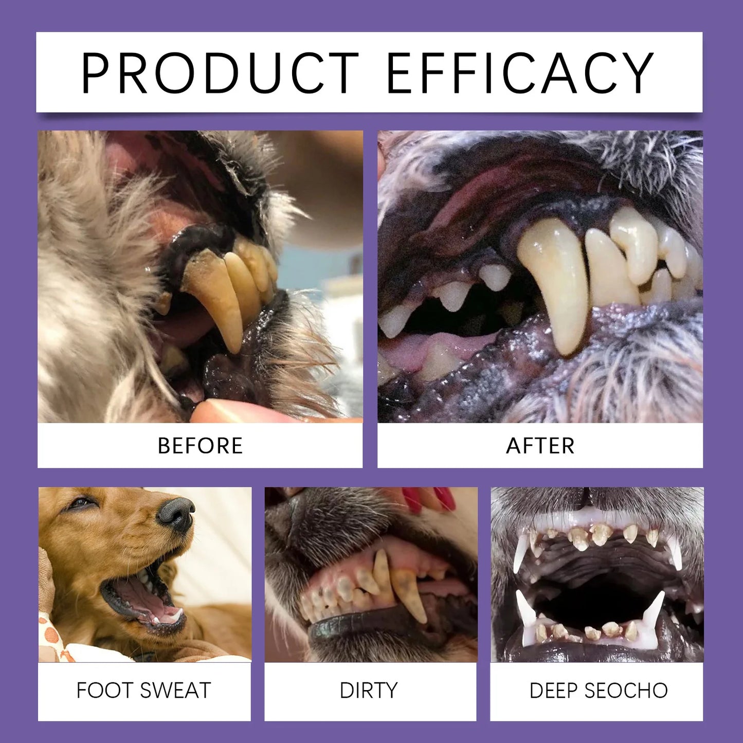 2件3毫升寵物牙齒清潔凝膠清新口氣牙齒美白牙刷去除牙垢口腔護理牙齒修復狗牙刷