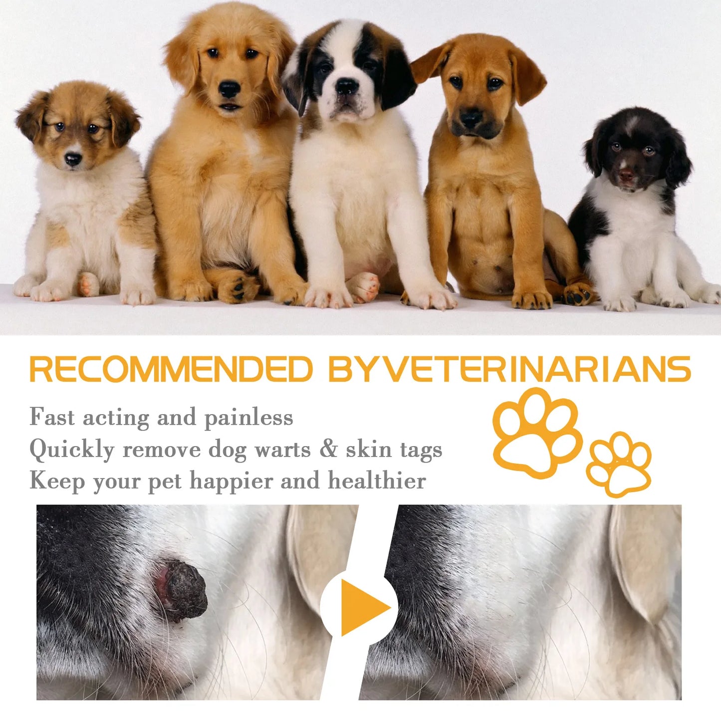 寵物除疣膏 淡化皮膚痣雞眼滋養皮膚疣治療緩解不適無刺激寵物修復膏