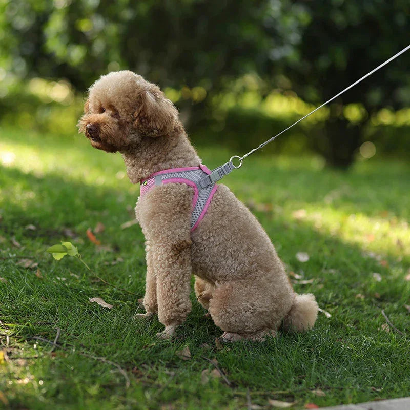 小型犬用 犬用ハーネス リーシュセット 調節可能 子犬 猫用ハーネス ベスト フレンチブルドッグ チワワ パグ アウトドア ウォーキングリード リーシュ