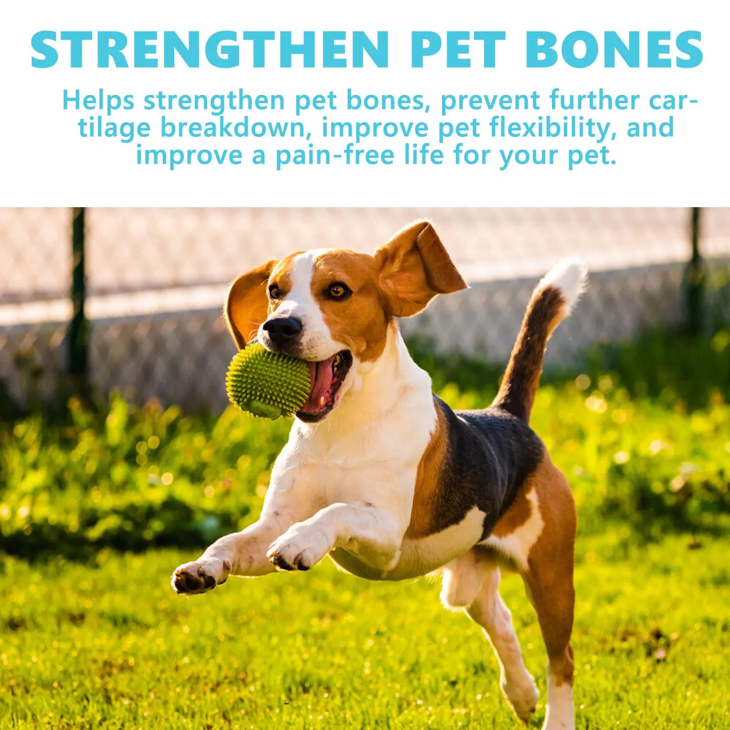 50ml Pet Glucosamine Drops - Relieve Joint Discomfort and Pain for Cats and Dogs | Essential Body Care