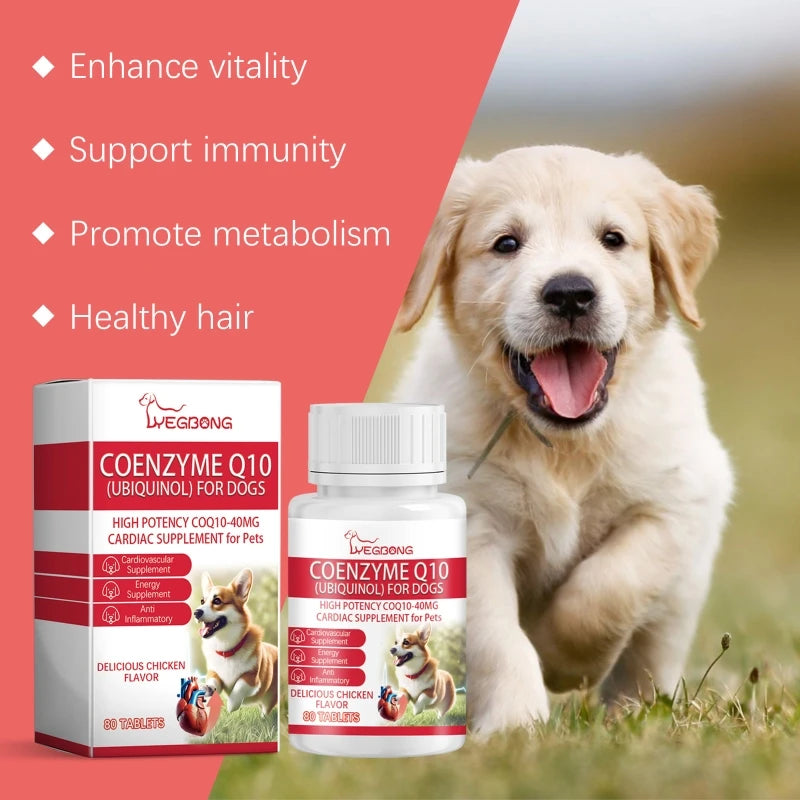 狗狗營養片,為老齡犬補充維生素,老年犬輔酶片,健康