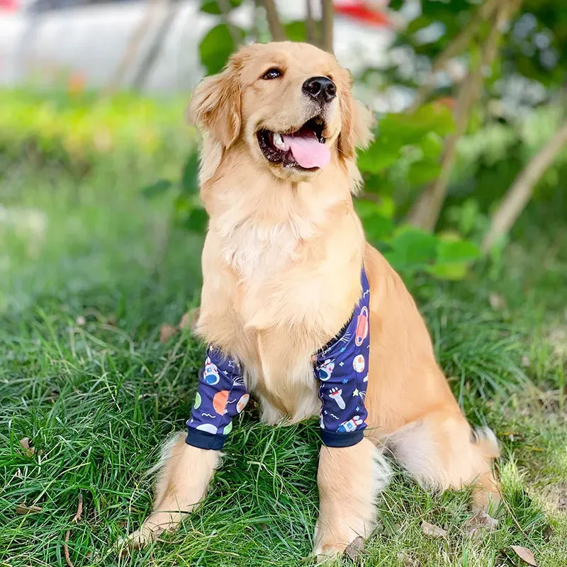 狗狗護肘護肘適用於中大型犬狗狗護膝服裝關節保護套防磨損寵物用品