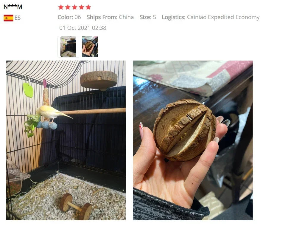 可愛兔子滾輪玩具天然木松木啞鈴單輪車鈴鐺咀嚼玩具適用於豚鼠鼠小寵物磨牙用品