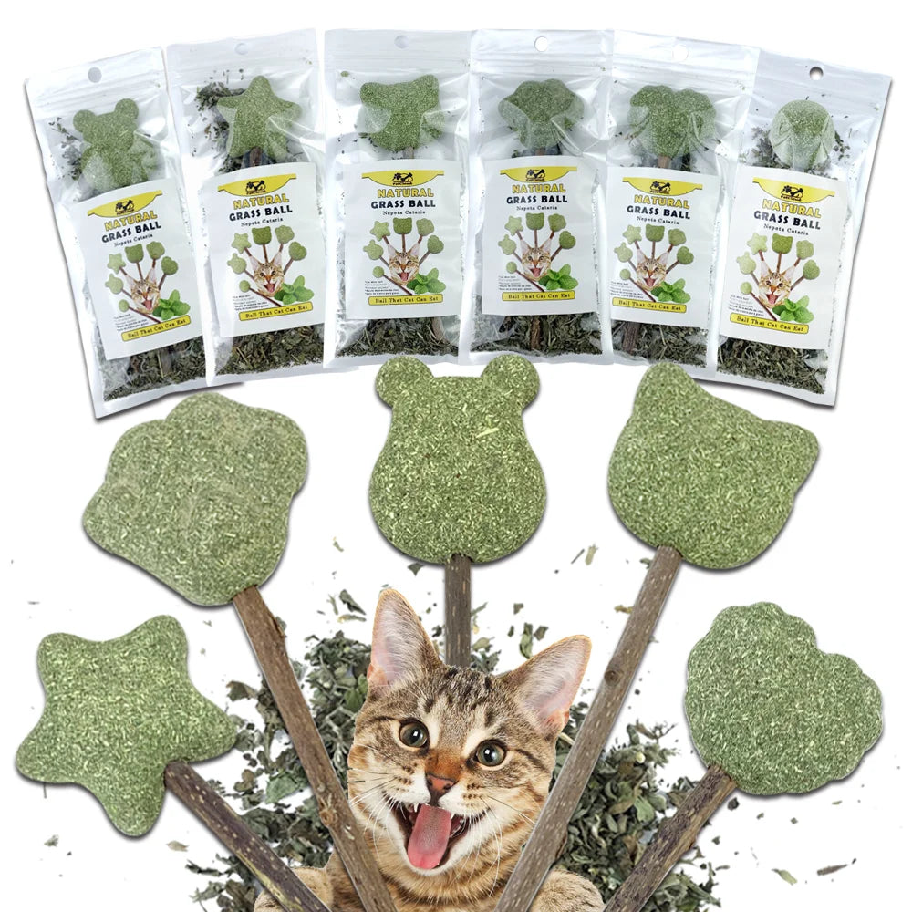 可愛造型新鮮貓薄荷玩具貓薄荷天然安全可食用可愛造型寵物薄荷棒棒糖貓薄荷球貓玩具清潔牙齒