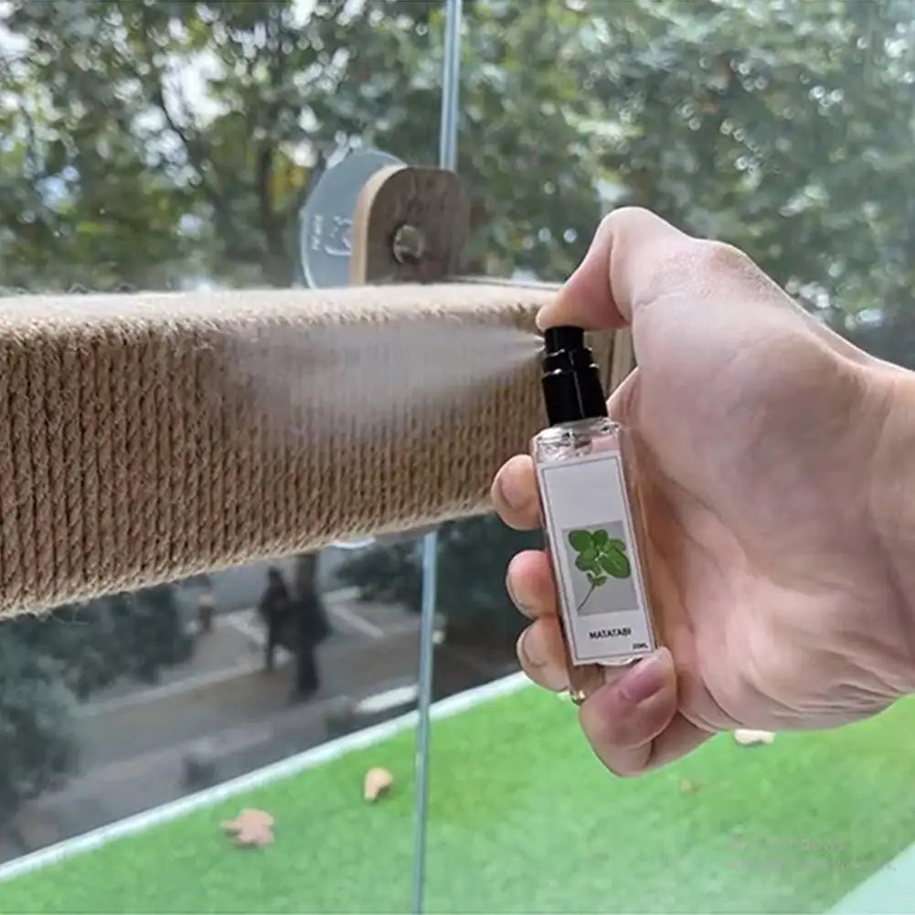 1/3 件 草本貓咪快樂噴霧,芹菜寵物貓薄荷噴霧 快樂草本噴霧,草本貓咪快樂馬塔比