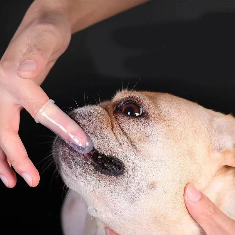 Silicone Pet Finger Toothbrush for Dogs & Cats Teeth Care