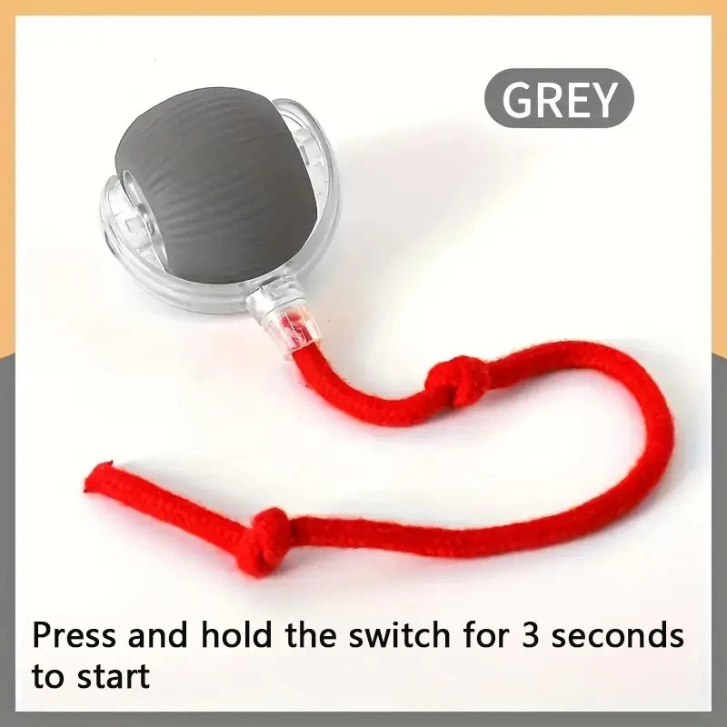 Smart Dog Toy Ball – USB Auto Moving Pet Ball for Dogs & Cats