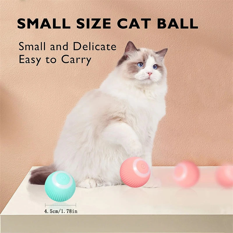 Smart Dog Toy Ball – USB Auto Moving Pet Ball for Dogs & Cats