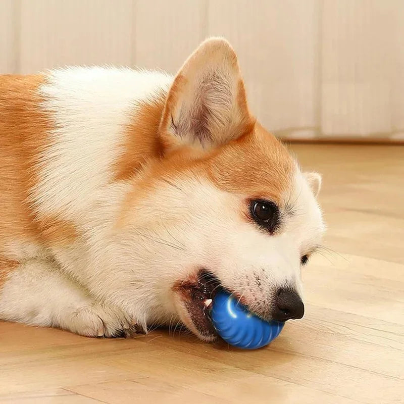 Smart Dog Toy Ball – USB Auto Moving Pet Ball for Dogs & Cats