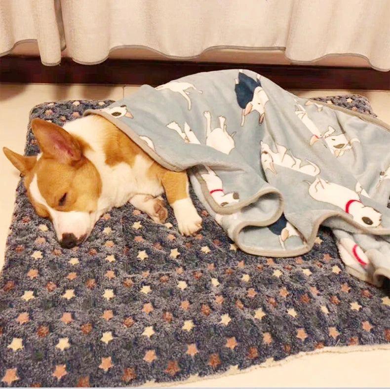 Flannel Pet Sleeping Mat for Dogs & Cats - Pet Cushion