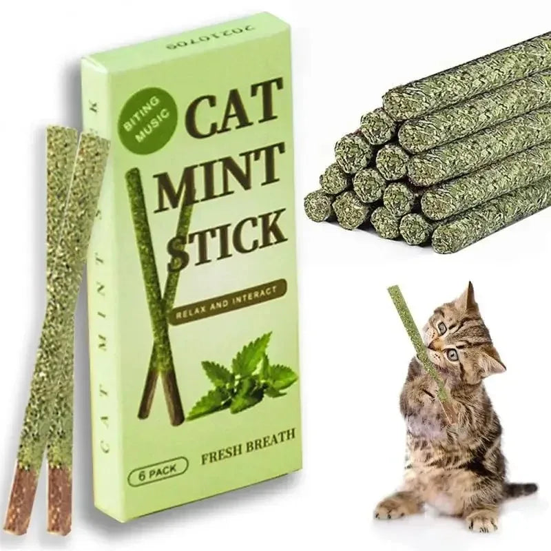 6件裝天然薄荷貓抓咬興奮棒銀藤貓咪牙齒清潔治療寵物用品貓玩具