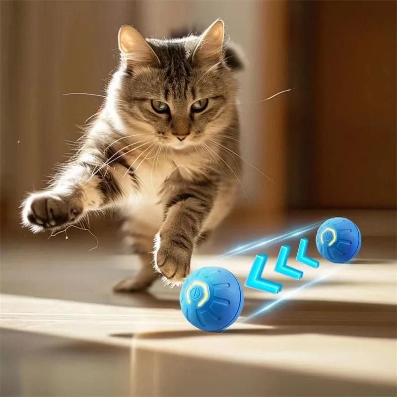 Smart Dog Toy Ball – USB Auto Moving Pet Ball for Dogs & Cats