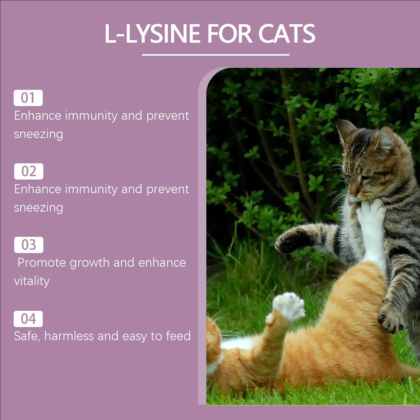 L-Lysine Cat Health Tablets- Immune Support for Feline Herpes & Respiratory Care, Calcium Absorption Aid