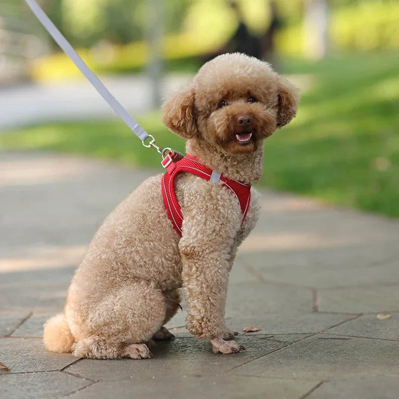 小型犬用 犬用ハーネス リーシュセット 調節可能 子犬 猫用ハーネス ベスト フレンチブルドッグ チワワ パグ アウトドア ウォーキングリード リーシュ