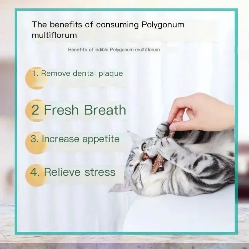 6 支天然貓棒,薄荷抓咬興奮棒,銀藤貓牙齒清潔和治療,貓玩具