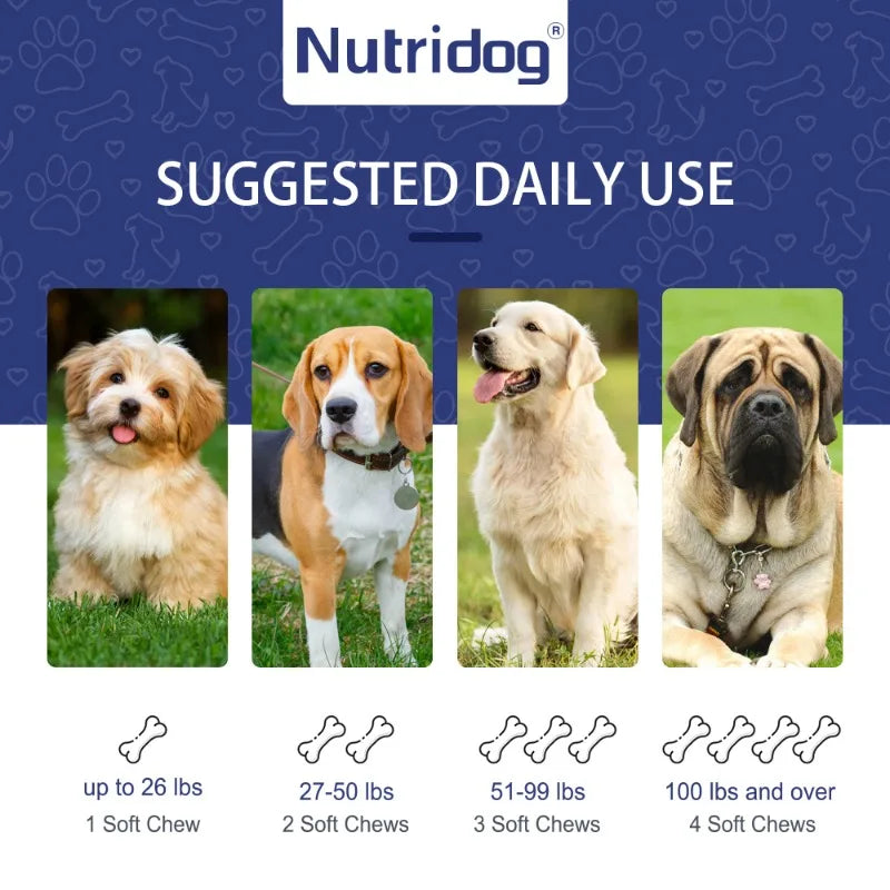 Liver Support Chews for Dogs With Milk Thistle & Curcumin - Liver Detox, Kidney & Hepatic Support -Chicken Flavor 120 Soft Chews