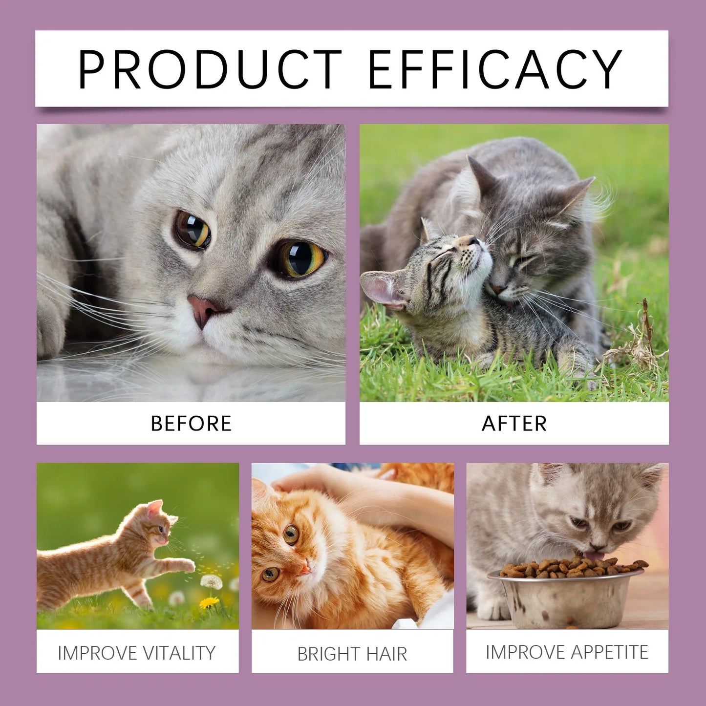 L-Lysine Cat Health Tablets- Immune Support for Feline Herpes & Respiratory Care, Calcium Absorption Aid