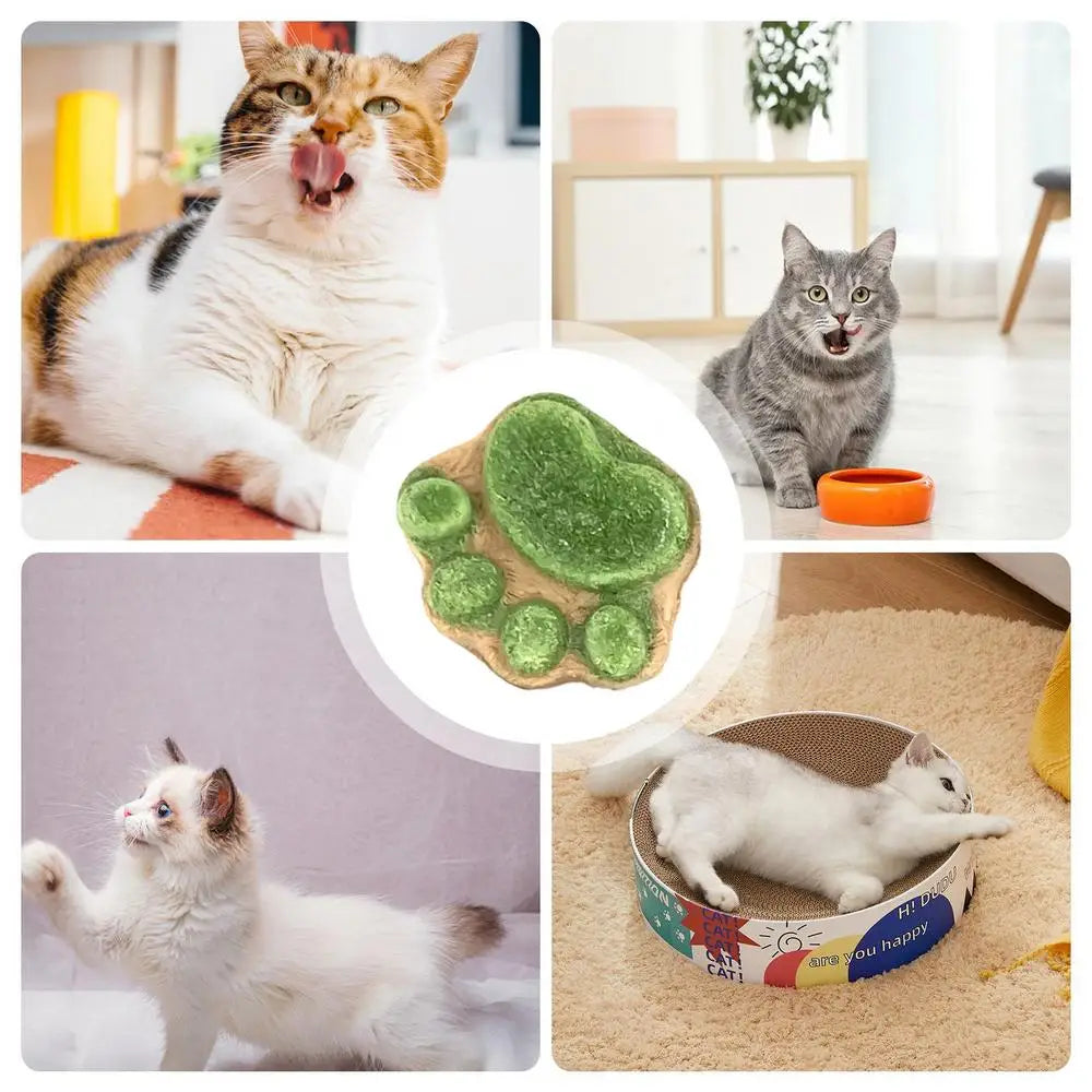 Paw Cat Treats Cat Snacks Cat Paw Biscuits Cat Biscuits Natural Healthy Cat Treats Dry Cat Treats Kitten Treats Paw Shape Cat