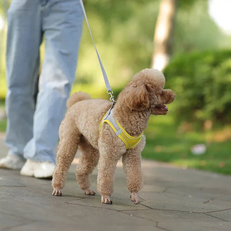 小型犬用 犬用ハーネス リーシュセット 調節可能 子犬 猫用ハーネス ベスト フレンチブルドッグ チワワ パグ アウトドア ウォーキングリード リーシュ