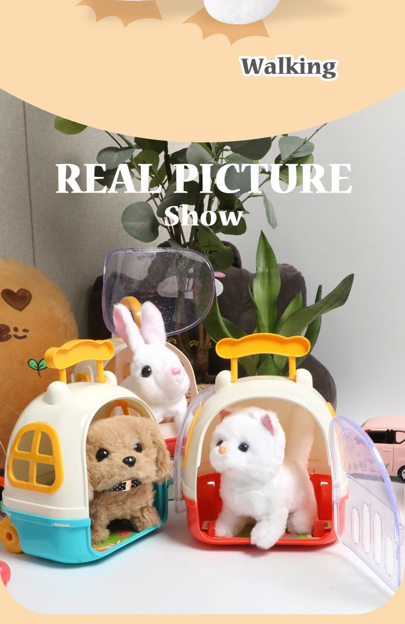 兒童過家家模擬毛絨動物電動行走可愛毛絨狗貓背包套裝女孩益智玩具