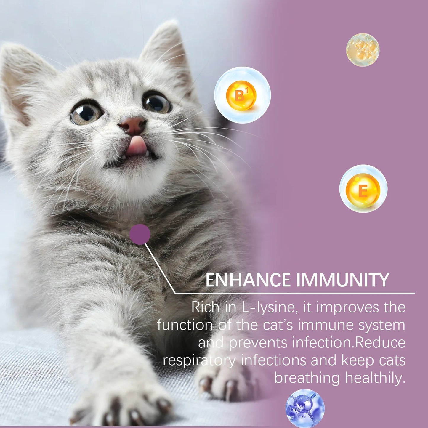 L-Lysine Cat Health Tablets- Immune Support for Feline Herpes & Respiratory Care, Calcium Absorption Aid