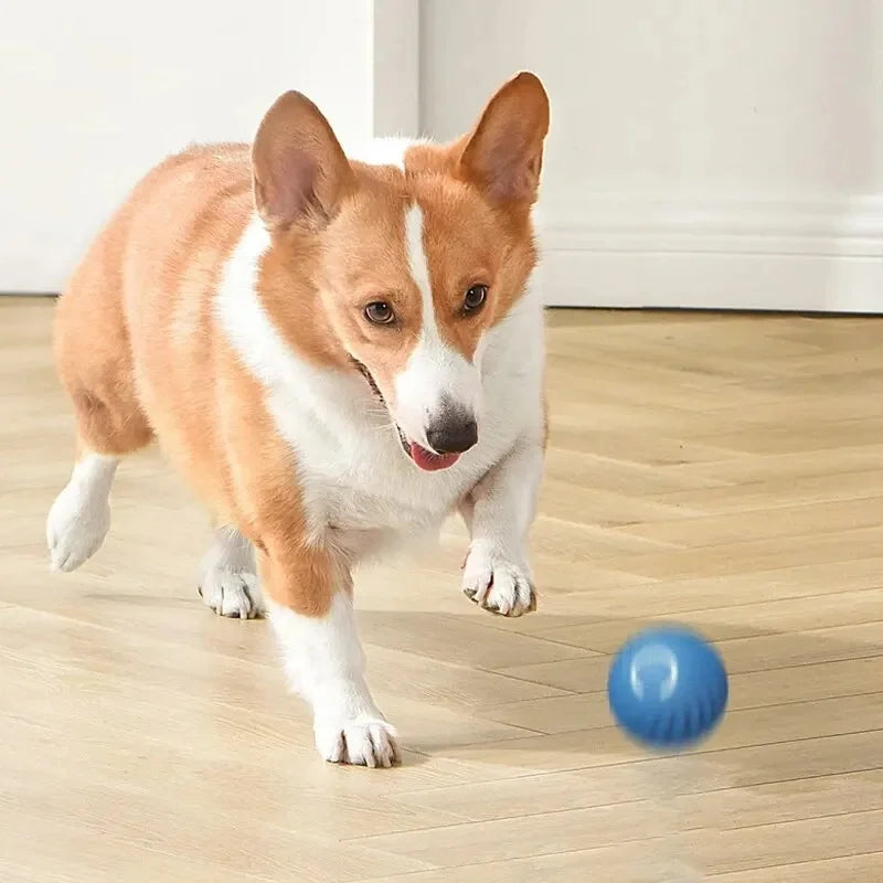 Smart Dog Toy Ball – USB Auto Moving Pet Ball for Dogs & Cats