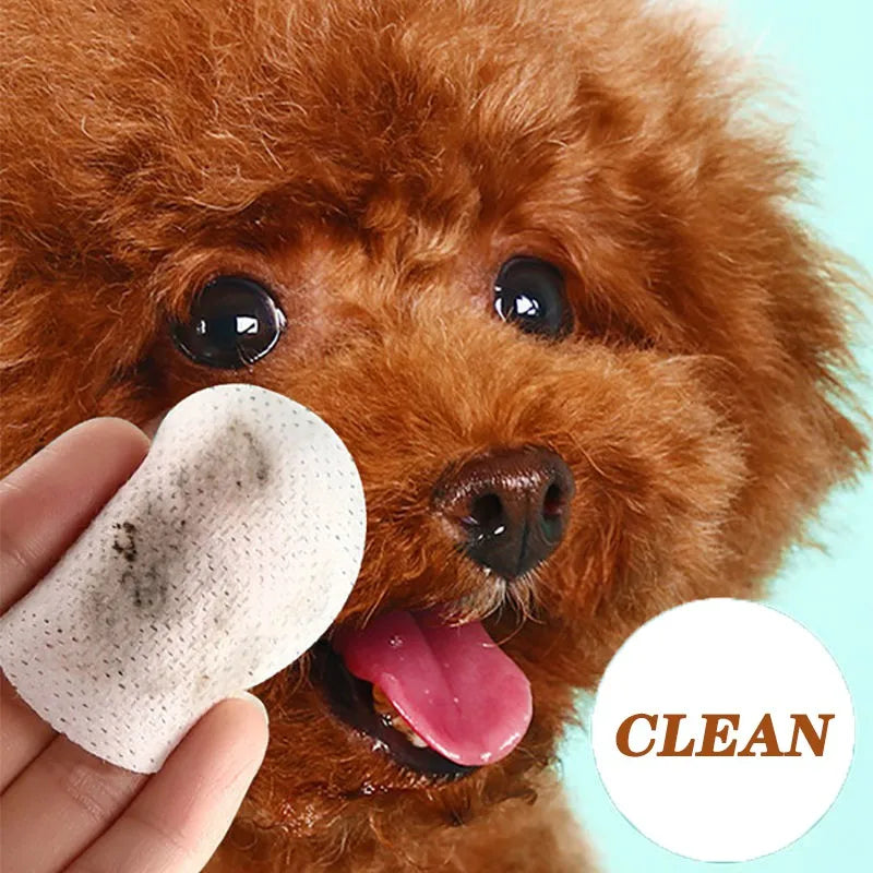 pet eye wipes, dog eye wipes, cat eye wipes, tear-free pet wipes, wet wipes for pets, pet cleaning wipes, canine and feline eye wipes, pet tear stain remover, dog grooming wipes, cat grooming wipes