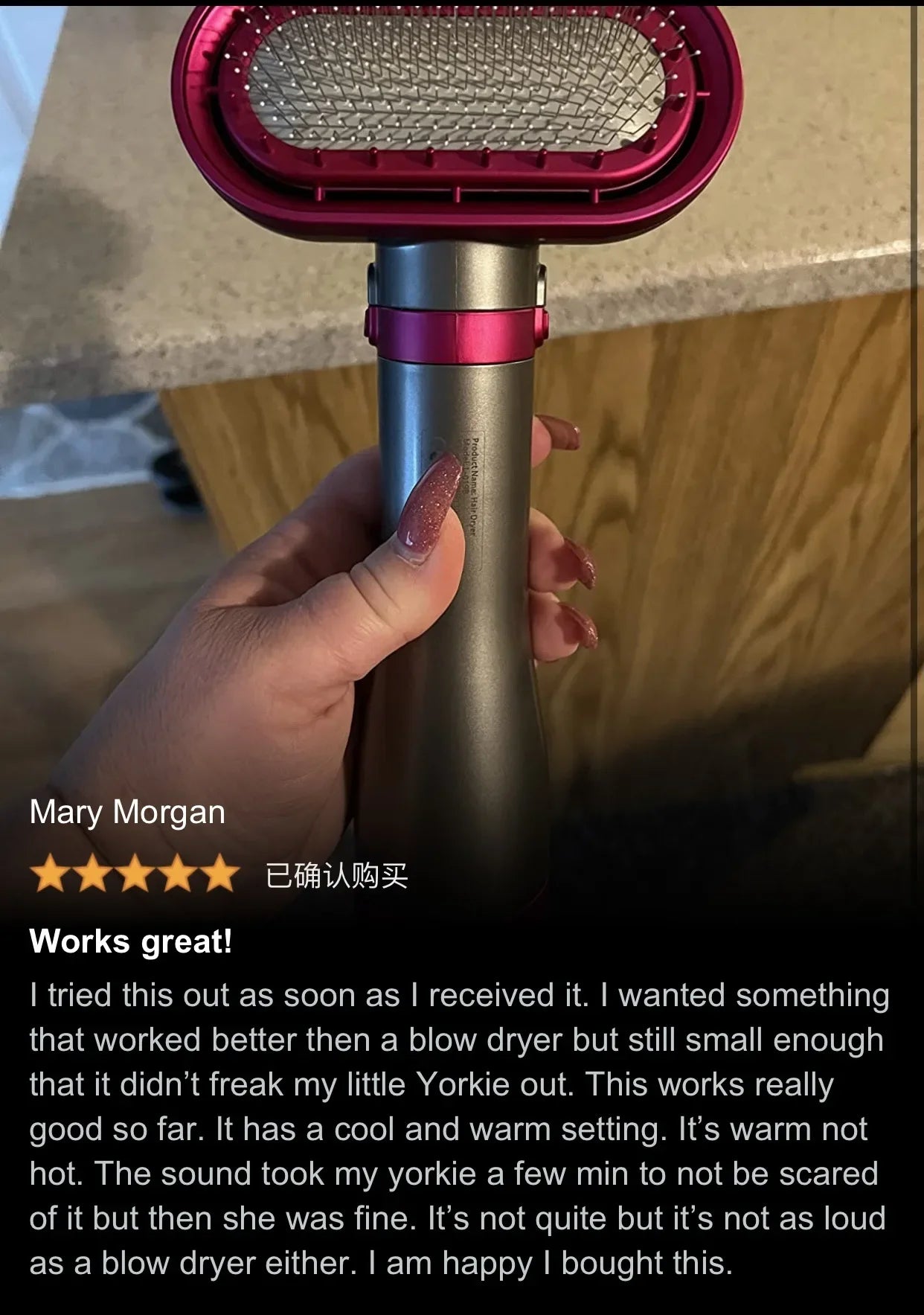 Pet Hair Dryer Soft Combing Integrated Small and Medium-sized Cat and Dog Hair Dryer Dog and Cat Blow Drying Silent Hair Drying