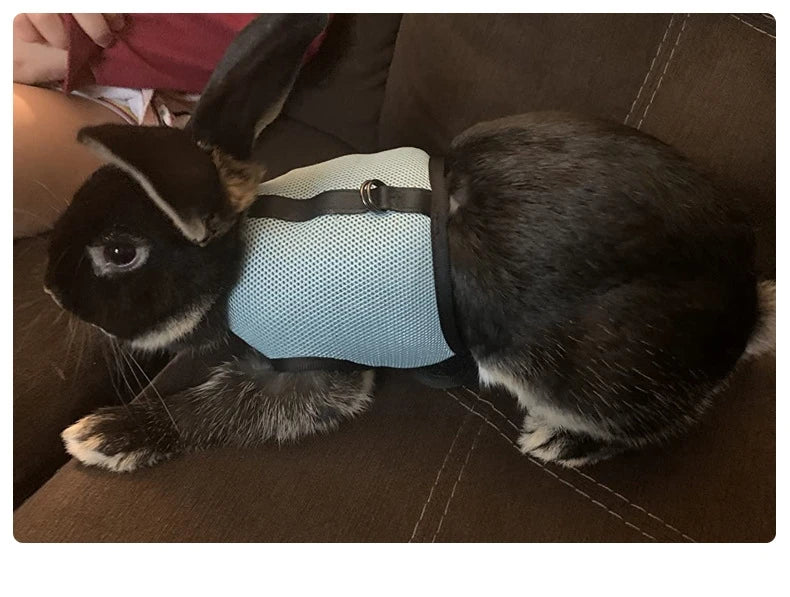 Mutil-Colors Breathable Stylish Vest Small Pet Carrier Bag Adjustable Soft Harness And Elastic Leash Set For Rabbits